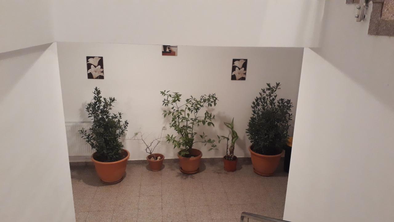 Casa Dobrescu Centura De Nord Hotel Craiova Luaran gambar